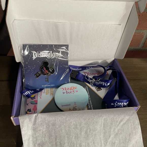 NWB Disneyland Magic Key Exclusive Promo Box - Picture 4 of 5